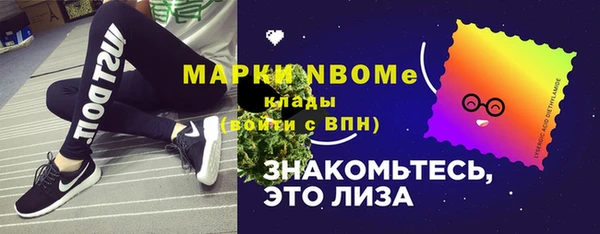 сатива Надым
