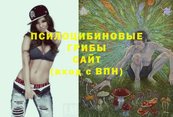 амф Нефтегорск