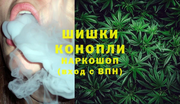 шишки Нефтекумск
