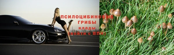 mix Лабытнанги