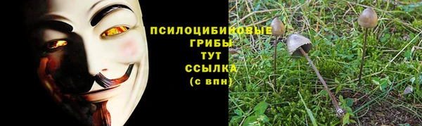 шишки Нефтекумск
