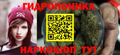 apvp Гусиноозёрск