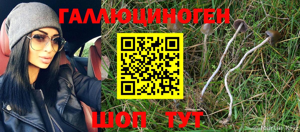 Псилоцибиновые грибы MAGIC MUSHROOMS  где найти   Псилоцибиновые грибы Psilocybine cubensis  Котлас 