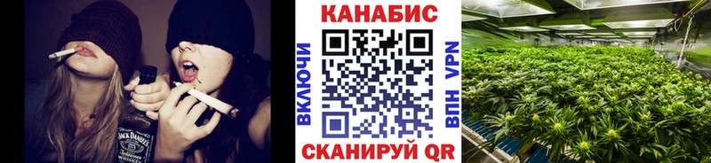 Бошки марихуана Amnesia  как найти закладки  Котлас 
